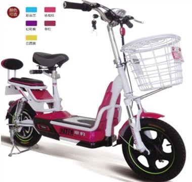 Basikal Elektrik Pintar